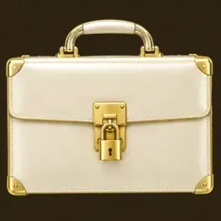 Locked leather briefcase — Simsinos