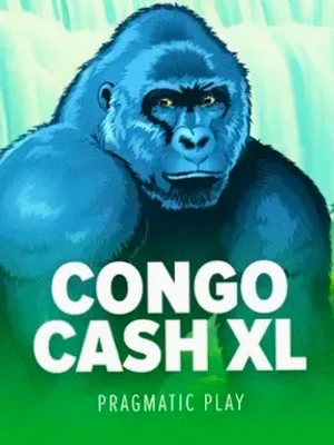 Congo Cash XL at Simsinos